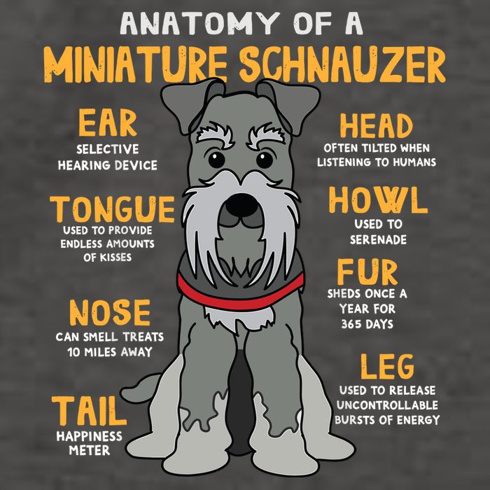 Miniature Schnauzer Anatomy Funny Dog Mum Dad Gift Vector Backpack