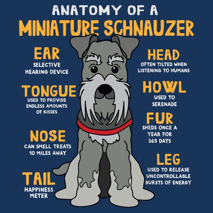 Miniature Schnauzer Anatomy Funny Dog Mum Dad Gift Cooling Performance Crew T-Shirt