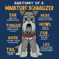 Miniature Schnauzer Anatomy Funny Dog Mum Dad Gift Flatbill Hat