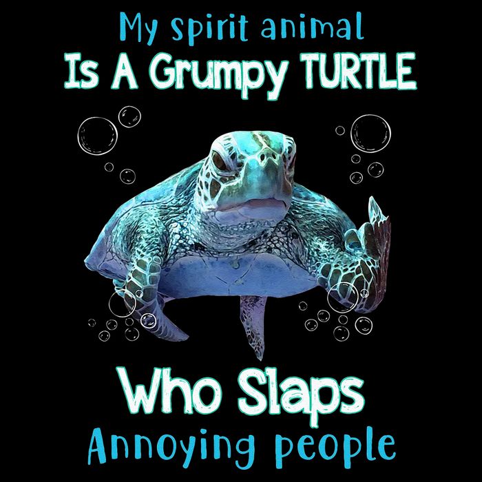 My Spirit Animal Is Grumpy Turtle Who Slaps Annoying People Sustainable Bucket Hat