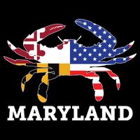 Maryland State American Usa Flag Blue Crab Mug