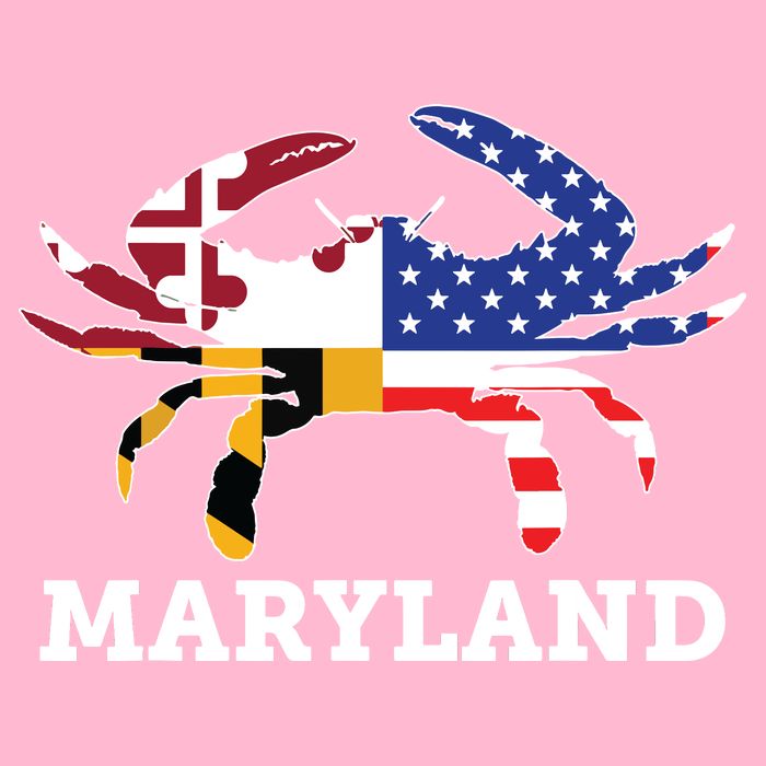 Maryland State American Usa Flag Blue Crab Toddler T-Shirt