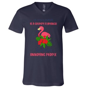 My Spirit Animal Is A Grumpy Flamingo Annoying People Funny V-Neck T-Shirt