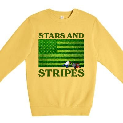 Middleclassfancy Stars And Stripes Premium Crewneck Sweatshirt