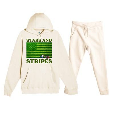 Middleclassfancy Stars And Stripes Premium Hooded Sweatsuit Set