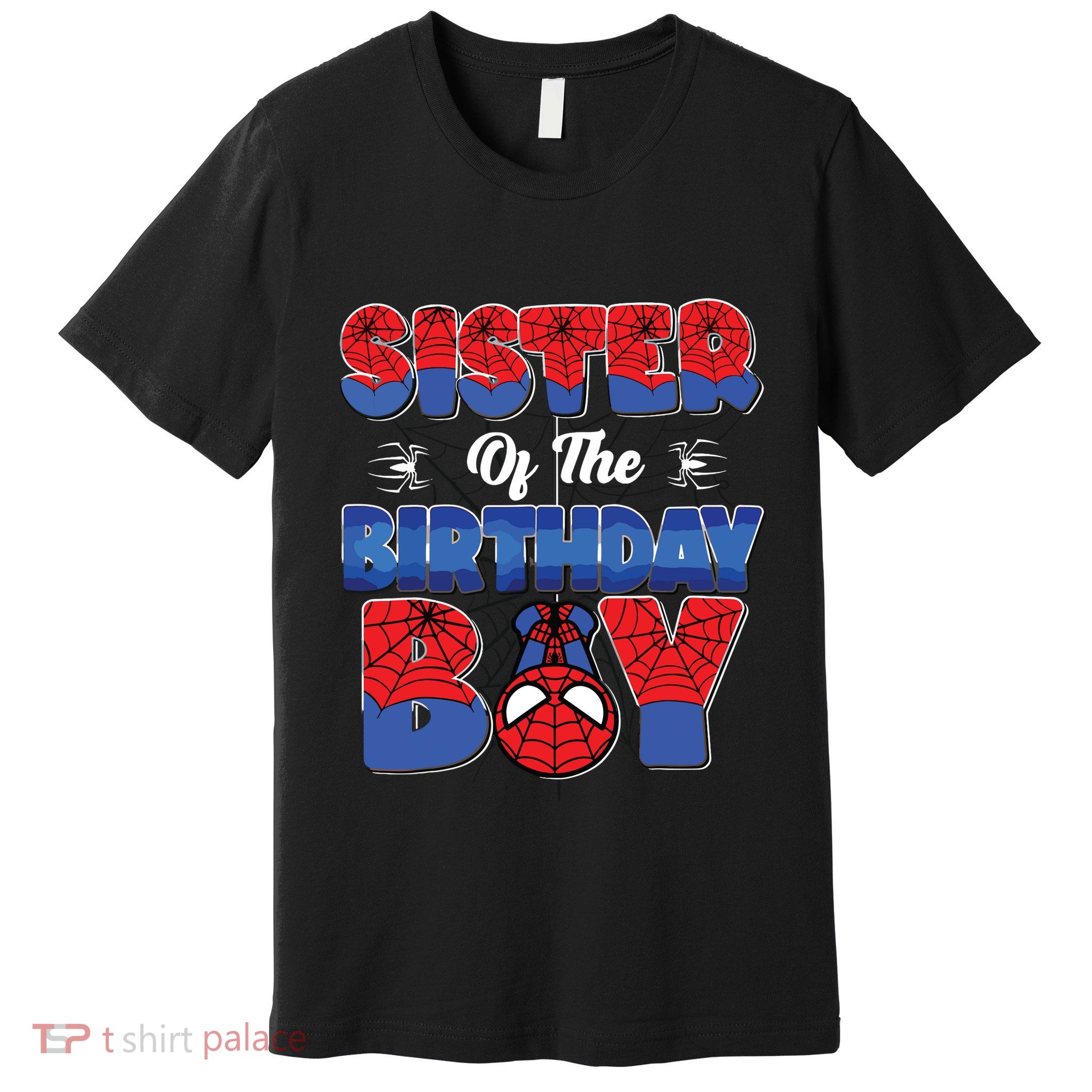 Matching Sister Birthday Boy Premium T-Shirt