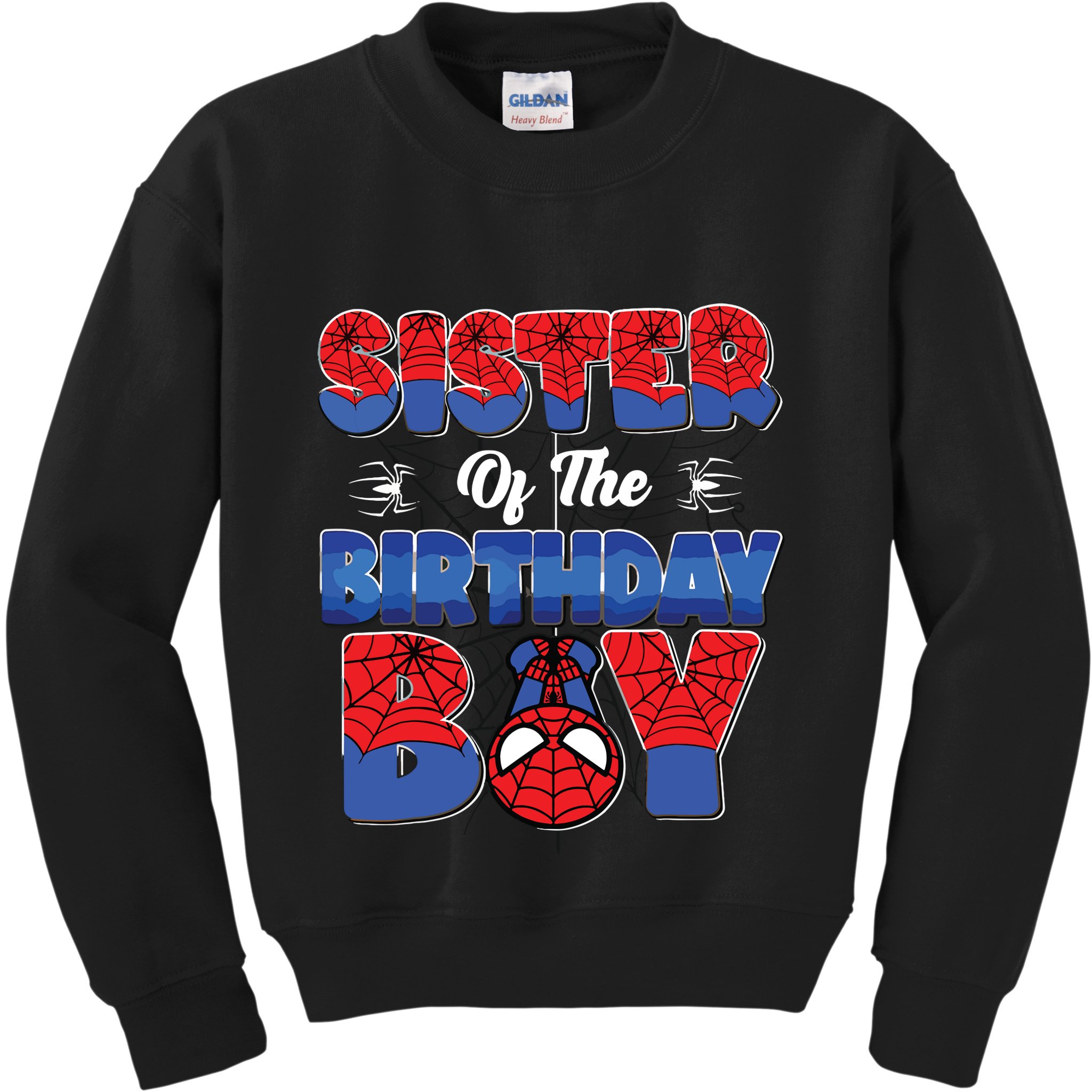 Matching Sister Birthday Boy Kids Sweatshirt