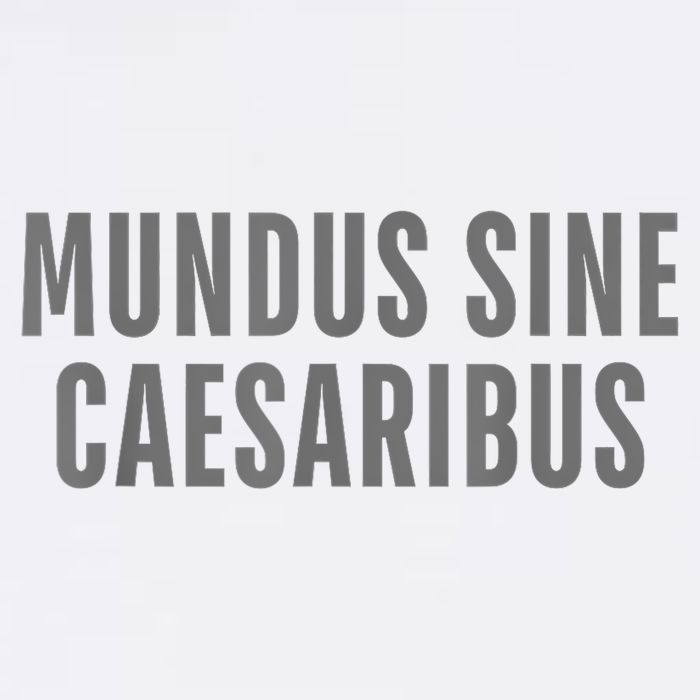Mundus Sine Caesaribus Graber Message Open Network Knit Cap Winter Beanie