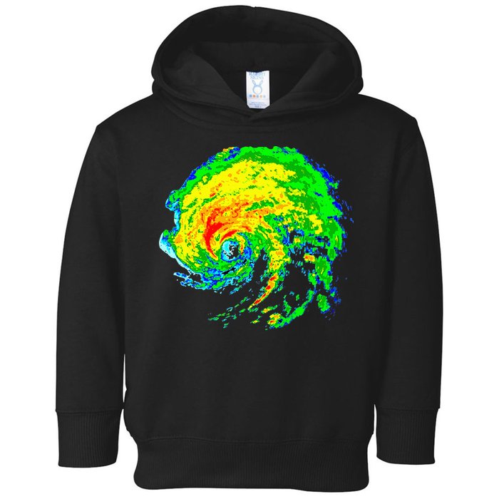 Meteorologist Storm Chasing Weather Radar Image Toddler Hoodie