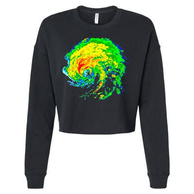 Meteorologist Storm Chasing Weather Radar Image Cropped Pullover Crew