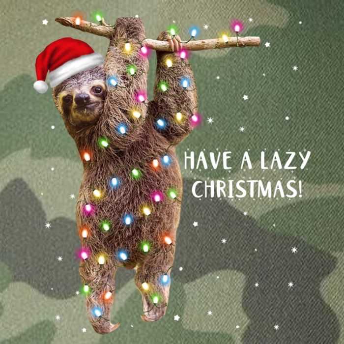 Merry Slothmas Christmas Design For Lazy Sloth Lovers Xmas Gift Legacy Tie Dye Trucker Hat