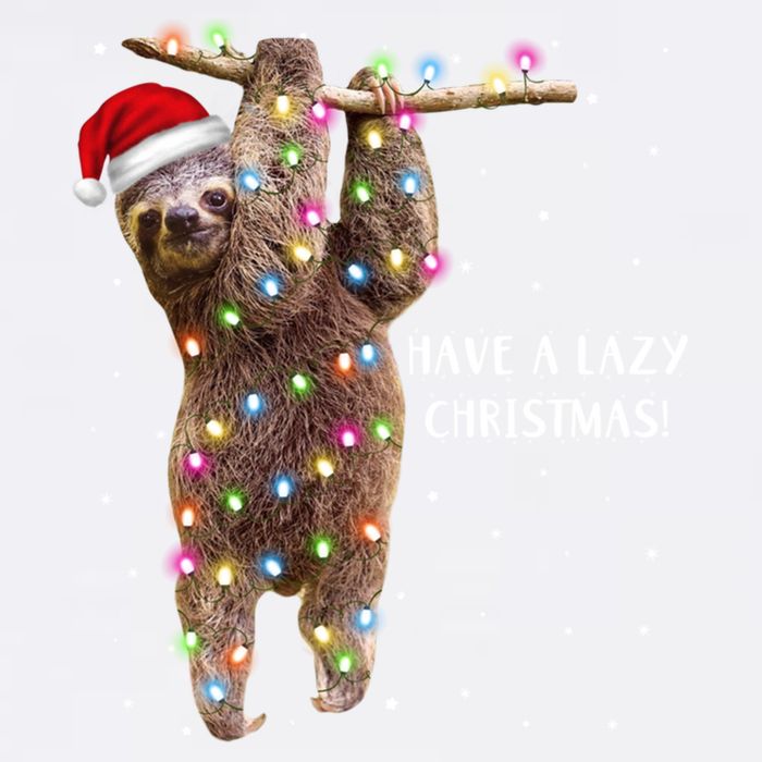 Merry Slothmas Christmas Design For Lazy Sloth Lovers Xmas Gift Garment-Dyed Sweatshirt