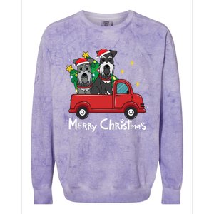 Miniature Schnauzer Christmas Truck Tree Mom Dad Xmas Gift Colorblast Crewneck Sweatshirt