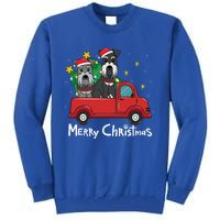 Miniature Schnauzer Christmas Truck Tree Mom Dad Xmas Gift Tall Sweatshirt