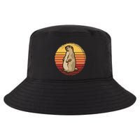 Marmot Sunset Design For Marmot Lovers Cool Comfort Performance Bucket Hat