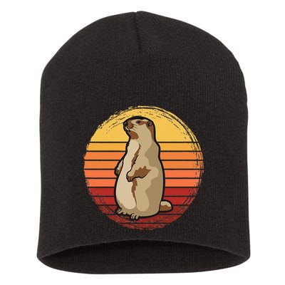 Marmot Sunset Design For Marmot Lovers Short Acrylic Beanie