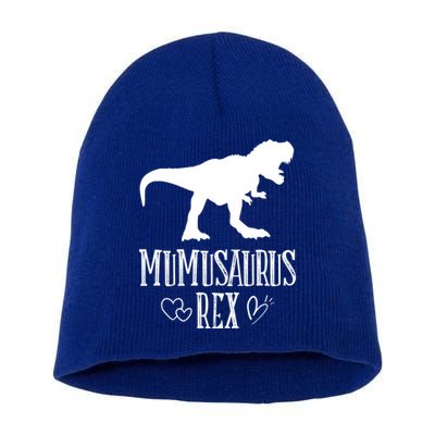 Mumu Saurus Dinosaur Mother Grandma Funny Matching Family Funny Gift Short Acrylic Beanie