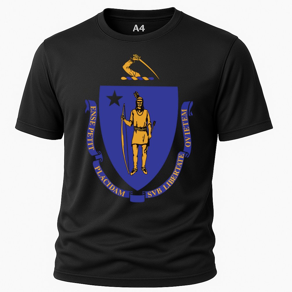 Massachusetts State Flag Us State Flag Performance Shirt