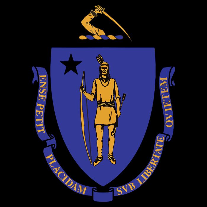 Massachusetts State Flag Us State Flag Bag