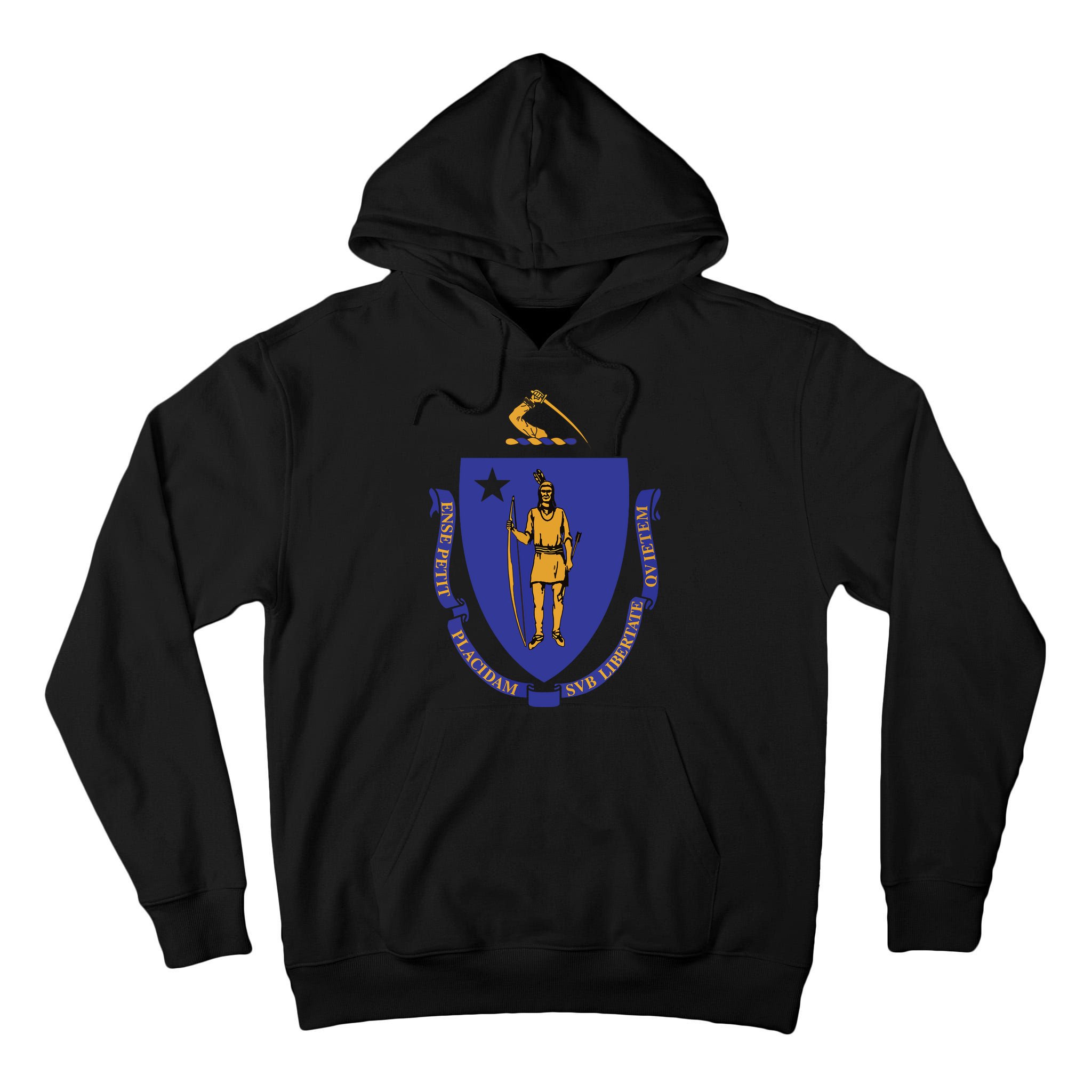 Massachusetts State Flag Us State Flag Tall Hoodie
