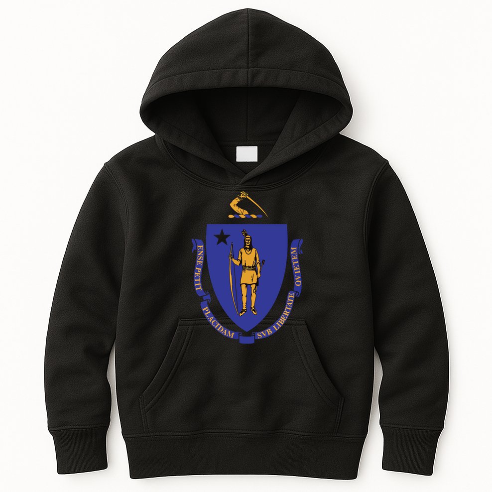 Massachusetts State Flag Us State Flag Kids Hoodie