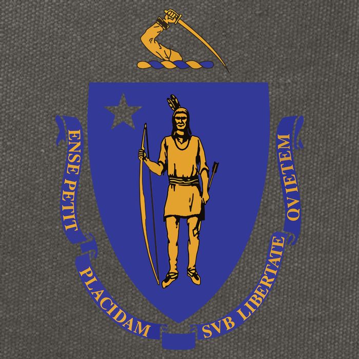 Massachusetts State Flag Us State Flag Cotton Canvas Backpack