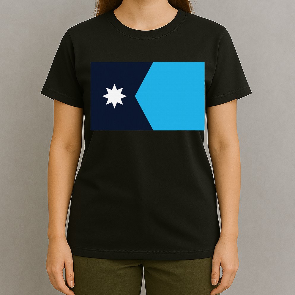 Minnesota State Flag T-Shirt
