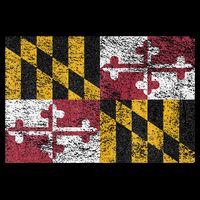 MARYLAND STATE FLAG ANNAPOLIS BALTIMORE CHESAPEAKE BAY Cooling Performance Crew T-Shirt