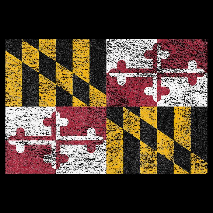 MARYLAND STATE FLAG ANNAPOLIS BALTIMORE CHESAPEAKE BAY Cooling Performance Crew T-Shirt