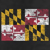 MARYLAND STATE FLAG ANNAPOLIS BALTIMORE CHESAPEAKE BAY 11oz C Handle Ceramic Mug