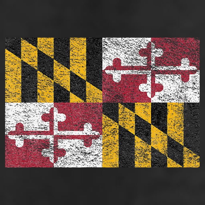 MARYLAND STATE FLAG ANNAPOLIS BALTIMORE CHESAPEAKE BAY 11oz C Handle Ceramic Mug