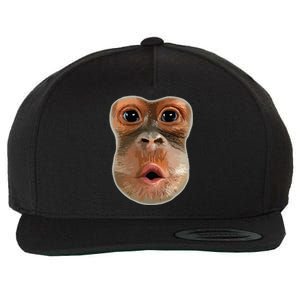 Monkey Stomach Funny Meme Cool Trending Viral Video Wool Snapback Cap