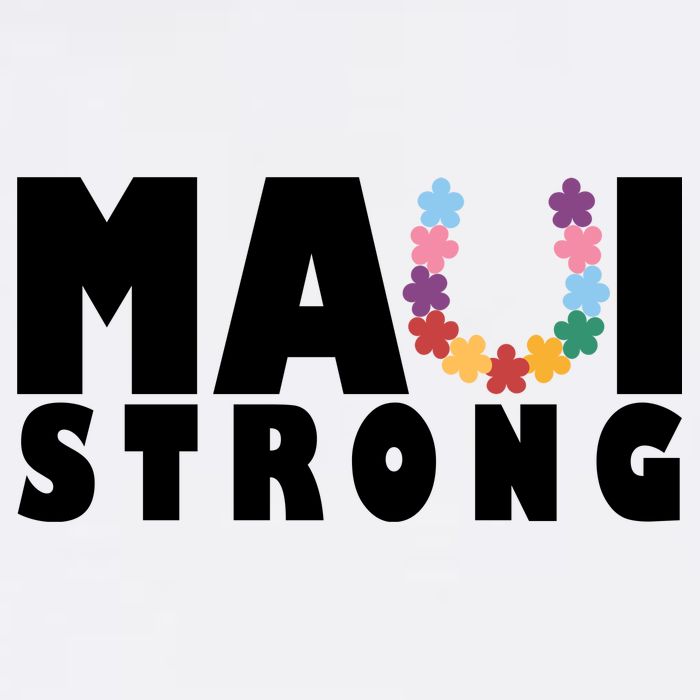 Maui Strong Hawaii Relief Awareness Women's V-Neck T-Shirt