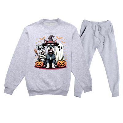 Miniature Schnauzer Halloween Costume Mummy Witch Ghost Dog Premium Crewneck Sweatsuit Set