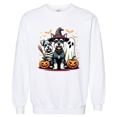 Miniature Schnauzer Halloween Costume Mummy Witch Ghost Dog Garment-Dyed Sweatshirt