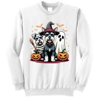 Miniature Schnauzer Halloween Costume Mummy Witch Ghost Dog Sweatshirt