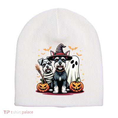 Miniature Schnauzer Halloween Costume Mummy Witch Ghost Dog Short Acrylic Beanie