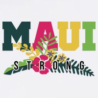 Maui Strong Hawaii Wildfire Relief Women's V-Neck T-Shirt