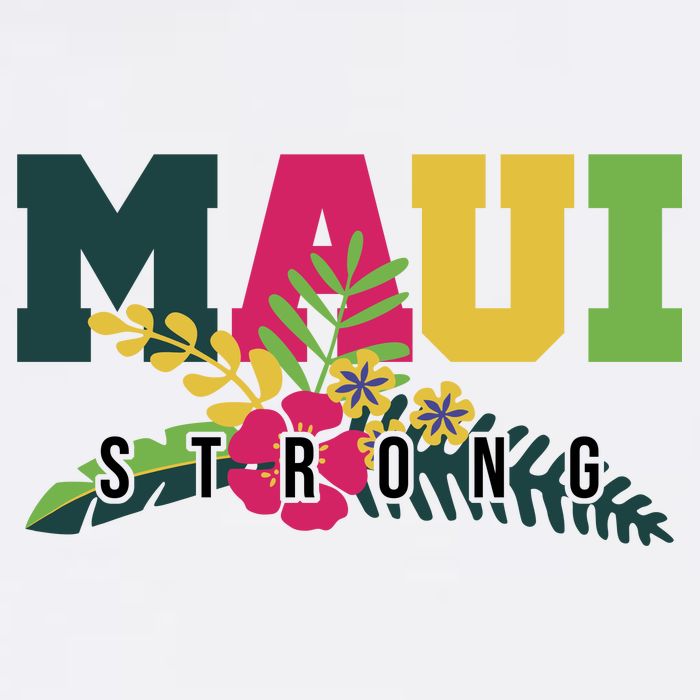 Maui Strong Hawaii Wildfire Relief Women's V-Neck T-Shirt