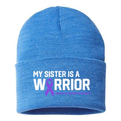 My Sister Is A Warrior Hodgkin's Lymphoma Cancer Awareness Gift Sustainable Knit Beanie