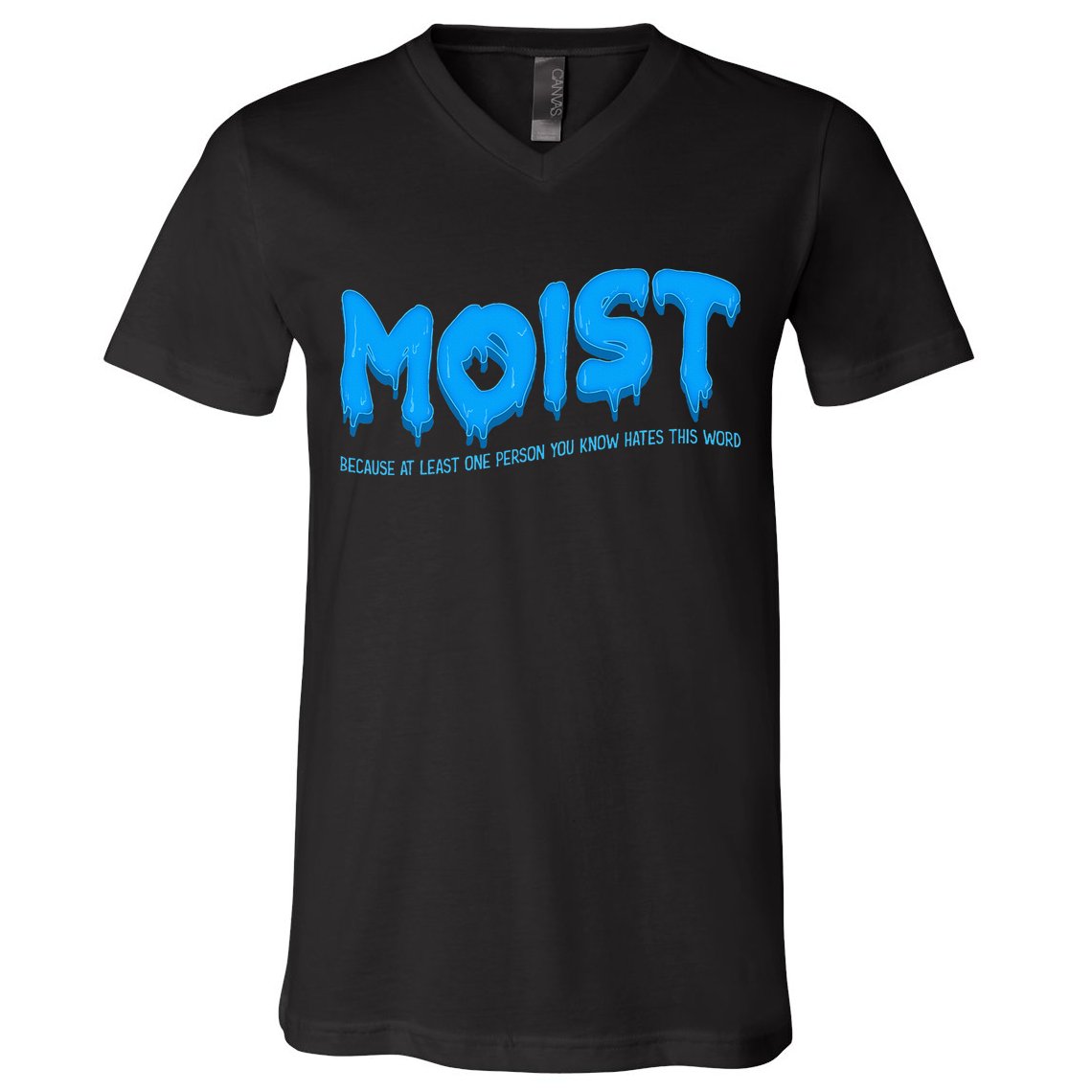 Moist Sarcastic Inappropriate V-Neck T-Shirt