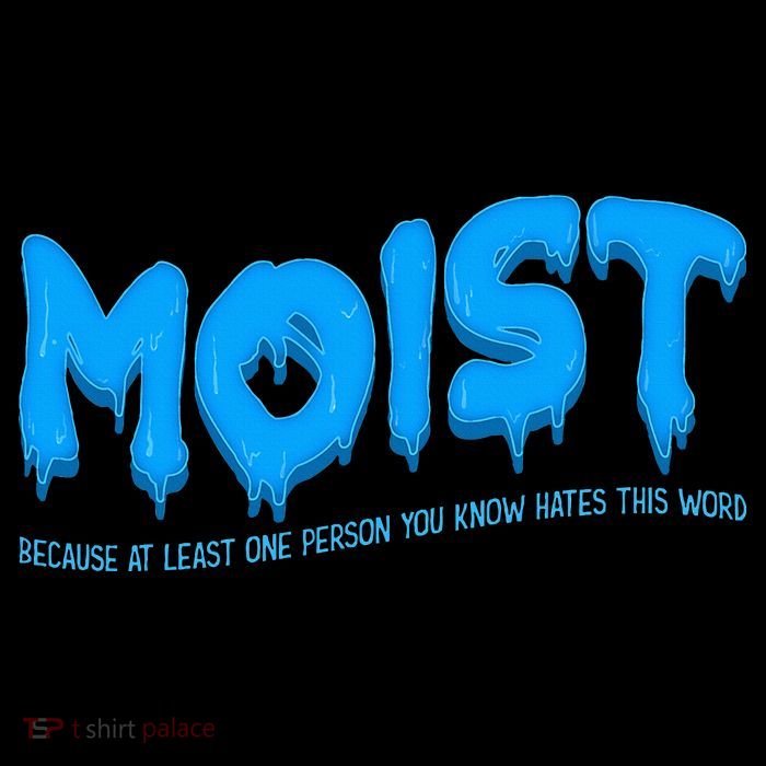 Moist Sarcastic Inappropriate Flatbill Hat