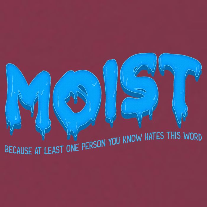 Moist Sarcastic Inappropriate 16oz Travel Tumbler