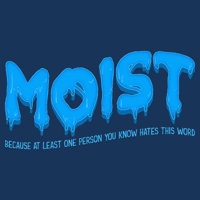 Moist Sarcastic Inappropriate Infant Baby Jersey Bodysuit