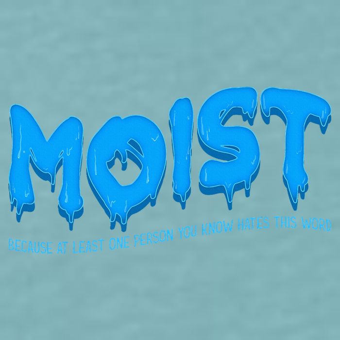 Moist Sarcastic Inappropriate Sueded Cloud Jersey T-Shirt