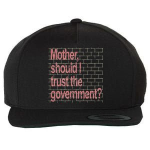 Mother Should I Trust The Government Funny Wool Snapback Cap