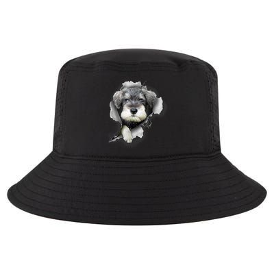 Mini Schnauzer Miniature Schnauzer Funny Schnauzer Cool Comfort Performance Bucket Hat
