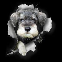 Mini Schnauzer Miniature Schnauzer Funny Schnauzer Button