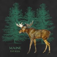 Maine State Moose Lovers Trees Vintagelook Souvenir Gift Hat