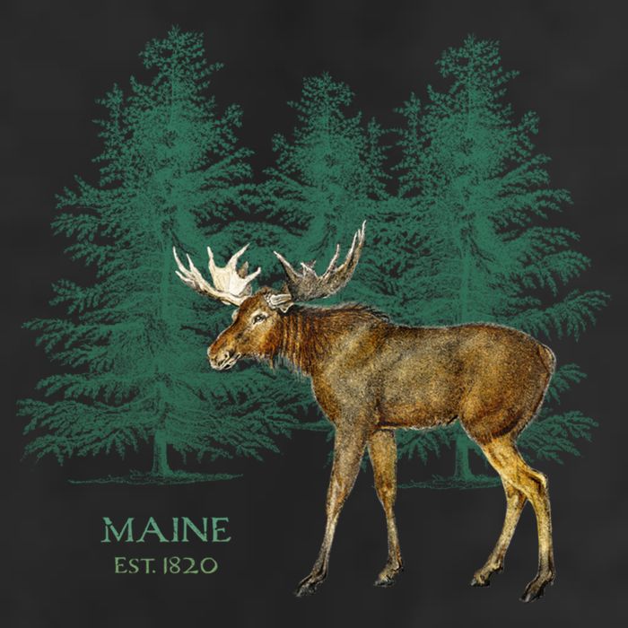 Maine State Moose Lovers Trees Vintagelook Souvenir Gift Hat